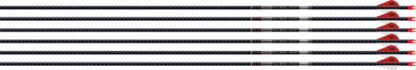 EASTON ARROW 5MM FMJ 300 W/ HO - 6-PACK W/ 2" BLAZER VANES
