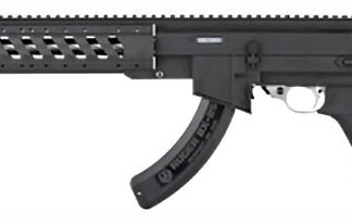 ADV. TECH. RUGER AR22 STOCK - SYSTEM W/ 6 SIDED FOREND <