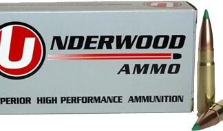 UNDERWOOD 300 AAC 125GR BT - 20RD 10BX/CS