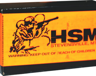 HSM SUBSONIC 45 ACP 230GR - LEAD-RN 50RD 20BX/CS