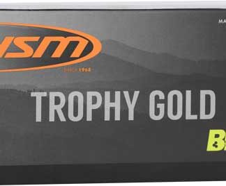 HSM TROPHY GOLD 6MM ARC - 95GR BERGER VLD 20RD 25BX/CS