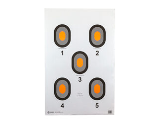 ACTION TGT ORG CENTER 5 BLSEYE 100PK