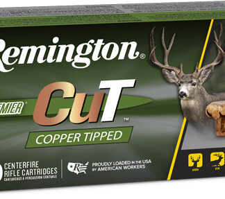 REMINGTON 30-06 165GR COPPER - TIP 20RD 10BX/CS