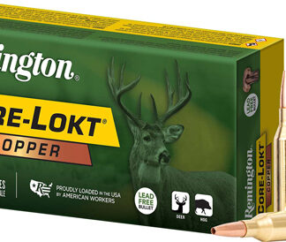 REMINGTON 300 WIN MAG 180GR - COPPER CORE-LOKT 20RD 10BX/CS