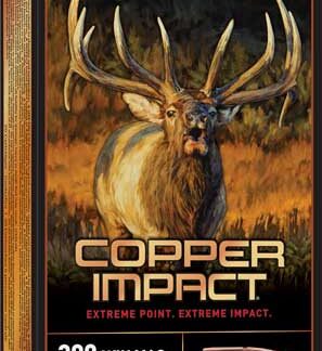 WINCHESTER COPPER IMPACT 300 - WIN MAG 180GR 20RD 10BX/CS