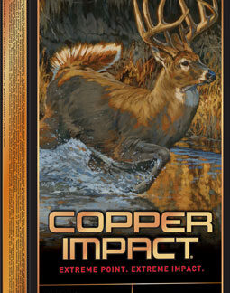 WINCHESTER COPPER IMPACT 300 - WSM 150GR 20RD 10BX/CS