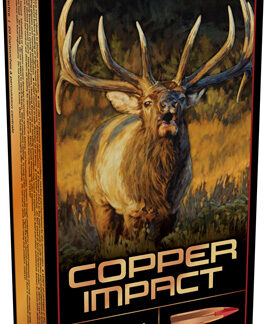 WINCHESTER COPPER IMPACT 6.8 - WESTERN 162GR 20RD 10BX/CS