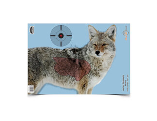 B/C PREGAME COYOTE TGT 3-16.5X24