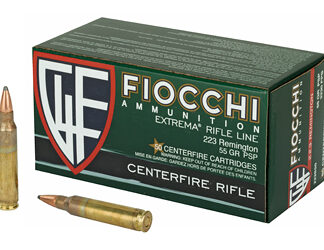 FIOCCHI 223REM 55GR PSP 50/500