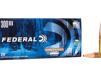 FED 300BLK 120GR  POWER-SHK SP 20