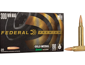 FED GOLD MDL 300WN 190GR BTHP 20/200