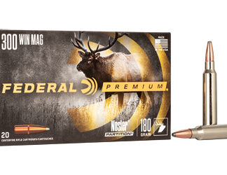 FED PRM 300WIN 180GR NP 20/200