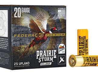 FED PR STORM 20GA 2.75" #5 LD 25/250