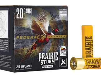 FED PR STORM 20GA 3" #6 LEAD 25/250