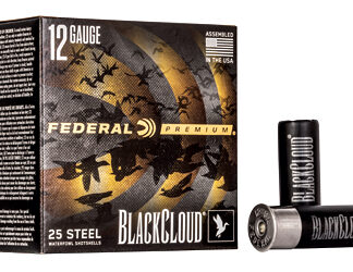 FED BLK CLOUD 12GA 2.75 #4 25/250