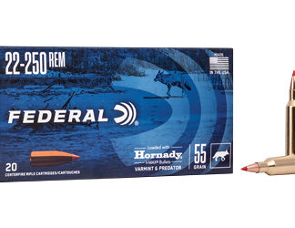 FED V&P 22-250REM 55GR V-MAX 20/200