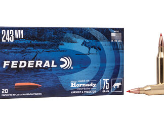 FED V&P 243WIN 75GR V-MAX 20/200