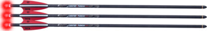 TENPOINT CENTERPUNCH HPX 20" - ARROW ALPHA-BLAZE HPX 3PK
