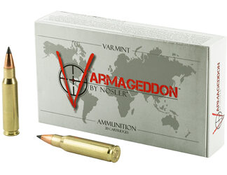 NOSLER VG 308WIN 110GR FB TIP 20/200