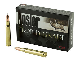 NOSLER 30-06 165GR AB 20/200