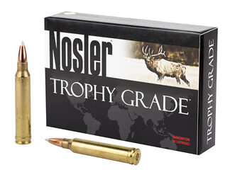 NOSLER 300WIN 180GR AB 20/200