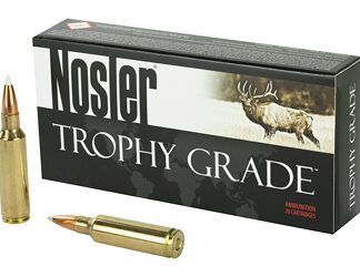 NOSLER 300WSM 180GR AB 20/200