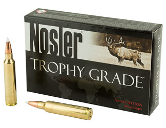 NOSLER 30NOS 180GR AB 20/200