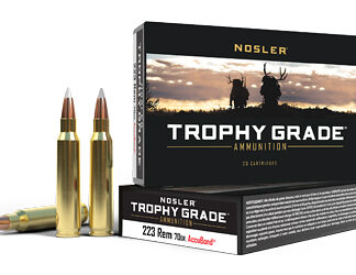 NOSLER TG 223REM 70GR AB 20/200