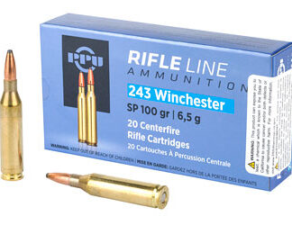 PPU 243WIN SP 100GR 20/200