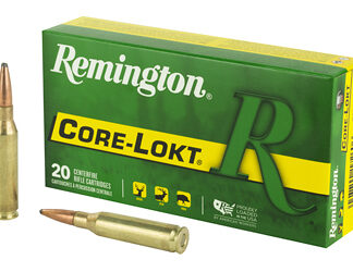REM 260REM 140GR PSP CL 20/200