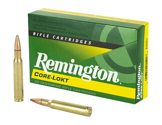 REM 3006 165GR PSP CL 20/200