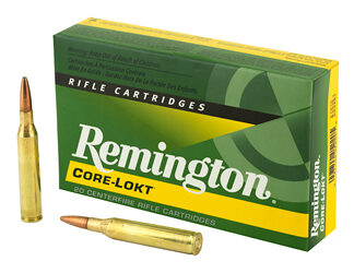 REM 25-06REM 120GR PSP CL 20/200