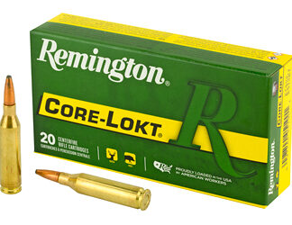 REM 243WIN 100GR PSP CL 20/200