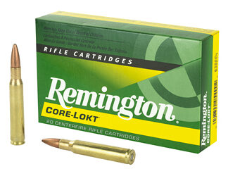 REM 3006 180GR PSP CL 20/200