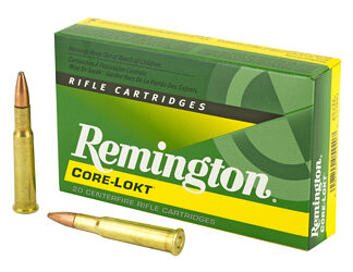 REM 30-40KRAG 180GR PSP CL 20/200