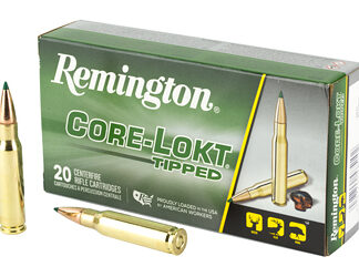 REM 308 WIN 180GR CLOK TIPPED 20/200