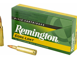 REM 6MM REM 100GR PSP CL 20/200