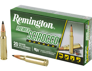 REM SWIFT SCR 308WIN 165GR 20/200