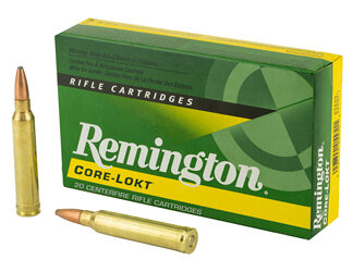 REM 300WIN 150GR PSP CL 20/200