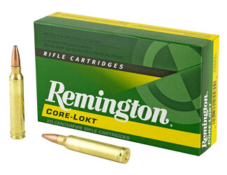 REM 300WIN 180GR PSP CL 20/200