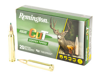 REM PRMRCUT CPR 300WIN 180GR 20/200