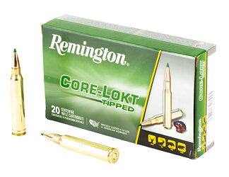 REM 300 WIN MAG 180GR CL TIP 20/200