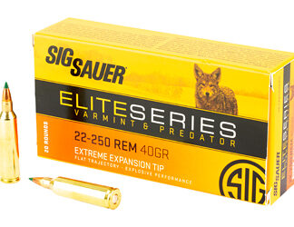 SIG AMMO 22-250REM 40GR V&P 20/200