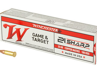WIN 21 SHARP GAME&TRGT 25GR 100/2000