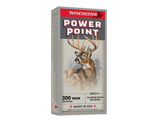 WIN SPRX PWR PNT 300WSM 180GR 20/200