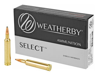 WBY AMMO 257WBY 100GR HRNDY INTER
