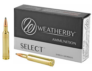 WBY AMMO 270WBY 130GR INT 20/200