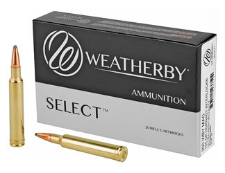 WBY AMMO 300WBY 165GR HRNDY INTER