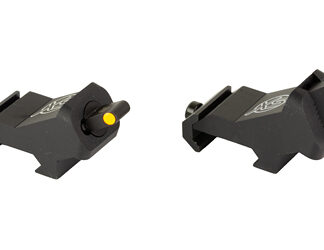 XS XTI2 DXS STANDARD DOT ORN