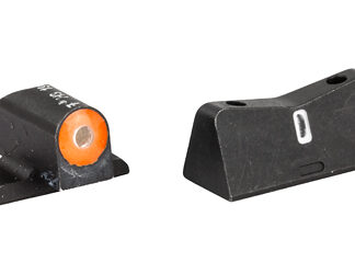 XS DXT2 BIG DOT SIG P226/P320/XD ORG